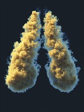 Clouds resembling lungs emitting yellow and blue smoke in a dark background, AI generated