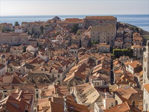 A panorama of a historic city with sunny rooftops and sea views, dubrovnik, Mediterranean Sea,