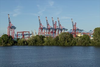 View from Finkenwerder of green vegetation on the banks of the Elbe, with cranes and container