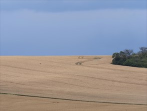 Stormy atmosphere over the grain fields in the Thuringian Basin