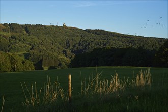 View of the Wasserkuppe with the Random, top right numerous paragliders, evening mood, Rhön, Hesse,