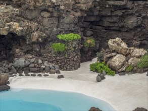 Rocks and plants around a pool in a natural setting, lanzarote, Canary Islands, Spain, Europe