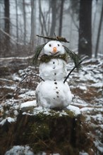 Snowman on a tree stump with a carrot for a nose, buttons, a branch for arms and pine needles for