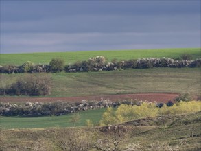 Thuringian basin with hedges and fields during a thunderstorm