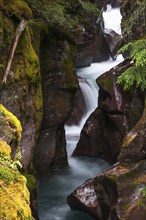 Long exposure of the Avalanche Creek in the Glacier National Park in Montana Usa