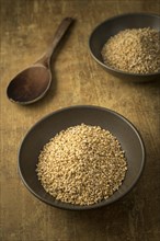 A closeup of a bowl of dried steel cut oats in a bowl and a wooden spoon