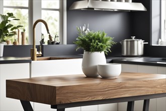 Modern minimalist kitchen with a wooden countertop, white vase with green plant, and ample natural