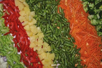 Rows of vegetables cleaned and cut ready for cooking