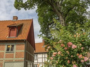 Half-timbered houses with red tiled roofs and gardens, interspersed with green trees and a blooming