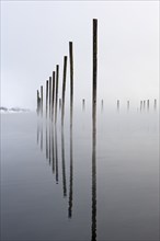 A mirror image like photo of wooden pilings reflection off the water on the calm Pend Oreille river