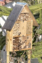 Insect hotel