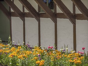 Flower bed in front of a rustic half-timbered house with colourful pink and yellow flower-bed,