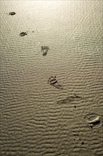 Footprints track through the patterned sand