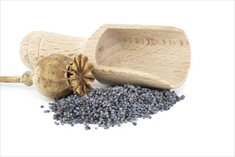 Poppy seed pods and seeds in wooden scoop on white isolated on white background, full depth of