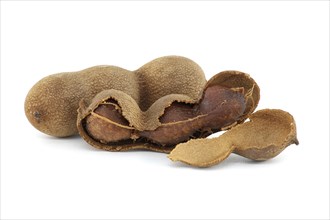 Tamarind fruits, whole and cracked open isolated on white background (Tamarindus indica)