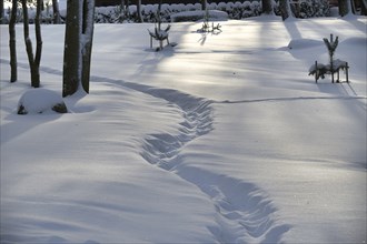 Calm and serene winter scene with a deep layer of snow covering the ground and surrounding the