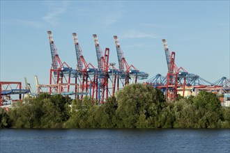 View from Finkenwerder of green vegetation on the banks of the Elbe, with cranes and container