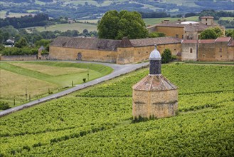 Bagnols village and landscape, Beaujolais, France, Europe