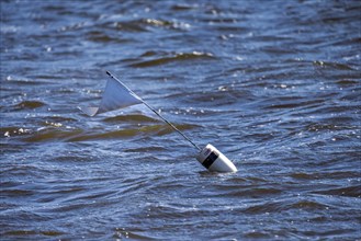 Employees of the Wisconsin Department of Natural Resources, DNR, set fish traps and mark them with