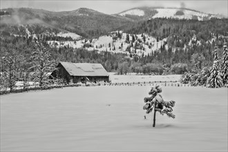 A black and white image of an old barn in a snowy field near Twin Lakes, Idaho