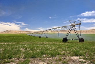 Irrigation system spraying the field of crops near Bruneau, Idaho