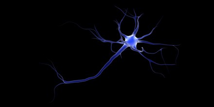 Conceptual image of a neuron