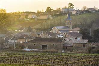 Village of Saint Julien, Beaujolais, France, Europe