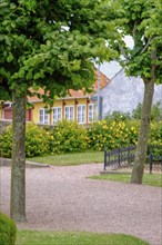 Garden path between trees leads to a house with yellow and red accents, surrounded by green nature,