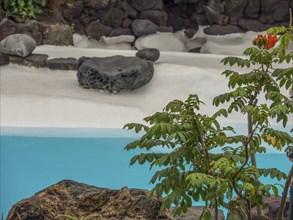 Tropical garden with swimming pool and rocks, lanzarote, Canary Islands, Spain, Europe