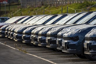 Long row of black cars ready for delivery at a car dealership