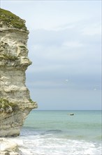 The Bulbjerg bird cliff on the Jutland North Sea coast in Denmark