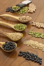 Dried grains like rice, black beans, garbanzo beans, split peas, and lentils in wooden spoons and