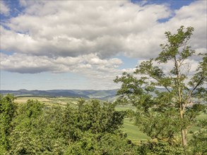 A landscape with dense clouds and sunny sections, trees in the foreground and mountains in the