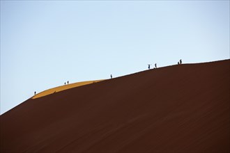 Dune 45 in Sossusvlei area, Namib Naukluft Park, Namibia, Africa