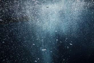 Rising air bubbles, island Vis, Mediterranean Sea, Croatia, Europe