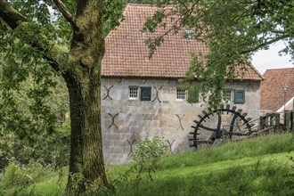 A historic mill building with a large wooden wheel next to a tree, Eibergen, Gelderland, the