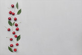 Flat lay top view on gray concrete background with sweet cherry berries and green leaves.