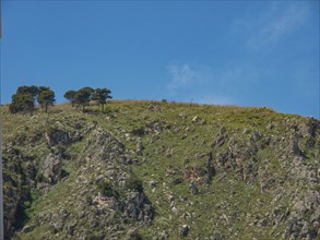 Rocky hill with scattered trees and green vegetation under a clear blue sky, palermo, sicily,