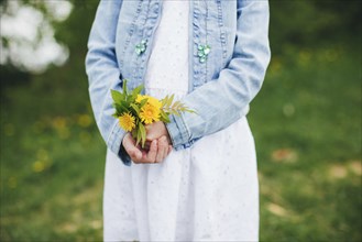 Small girl is holding yellow chamomile flowers.