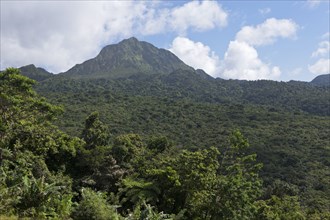 Landscape Morne Trois Pitons National Park, Caribbean, Dominica, Central America