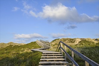 Boardwalk in the Amrum dunes nature reserve near Norddorf, Amrum, North Frisian Island, North