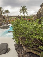 Swimming pool with blue water, surrounded by tropical vegetation, rocks and palm trees, lanzarote,