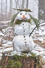 Snowman on a tree stump with a carrot for a nose, buttons, a branch for arms and pine needles for