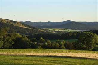 Evening atmosphere at Weiherberg between Dietges and Sieblos, Milseburger Kuppenrhön, Rhön, Hesse,