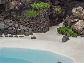 Rocks and green foliage at the edge of a pool, lanzarote, Canary Islands, Spain, Europe