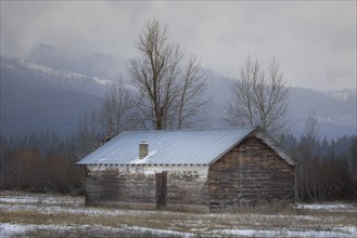 An old shed stands in a lightly snow covered field in north Idaho