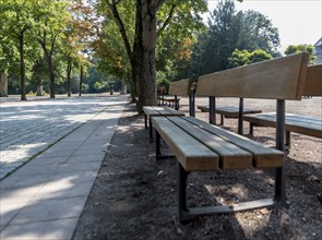 Rest area in a park with paved path and bench with trees in summer