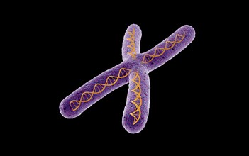 Conceptual image of chromosome