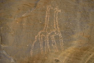 Rock engravings of two giraffes from the Neolithic period, Sabu, Nubia, Sudan, Africa