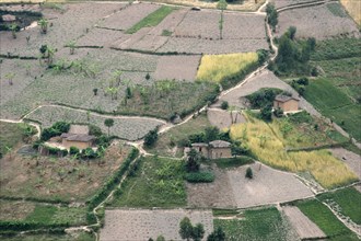 Arable land with fields and farms after deforestation of the rainforest in the hills, Rwanda,